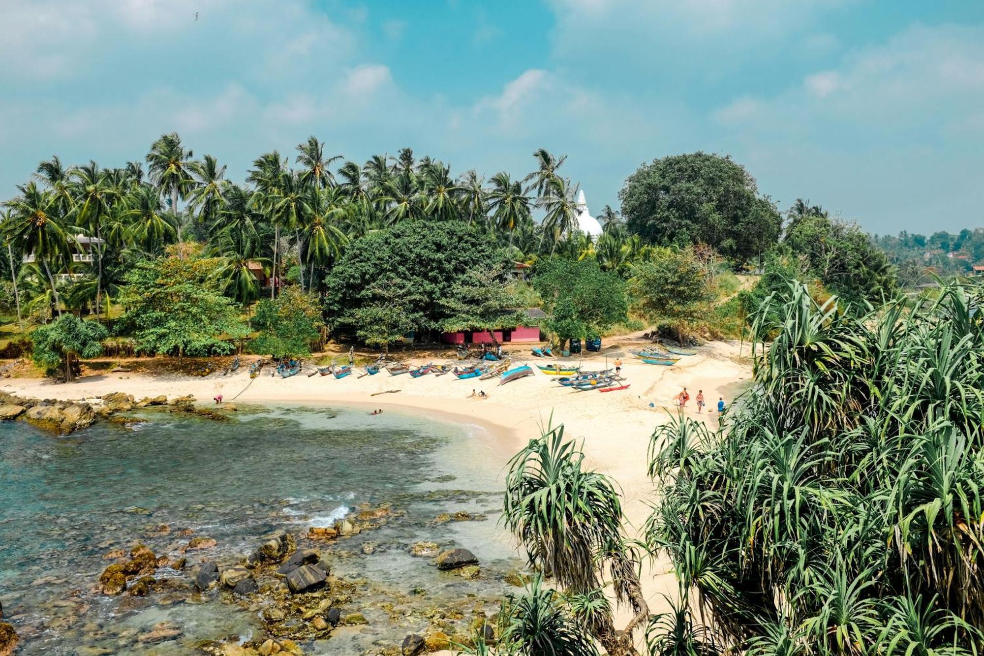 Tamasha Mango House Hotell Dikwella Eksteriør bilde
