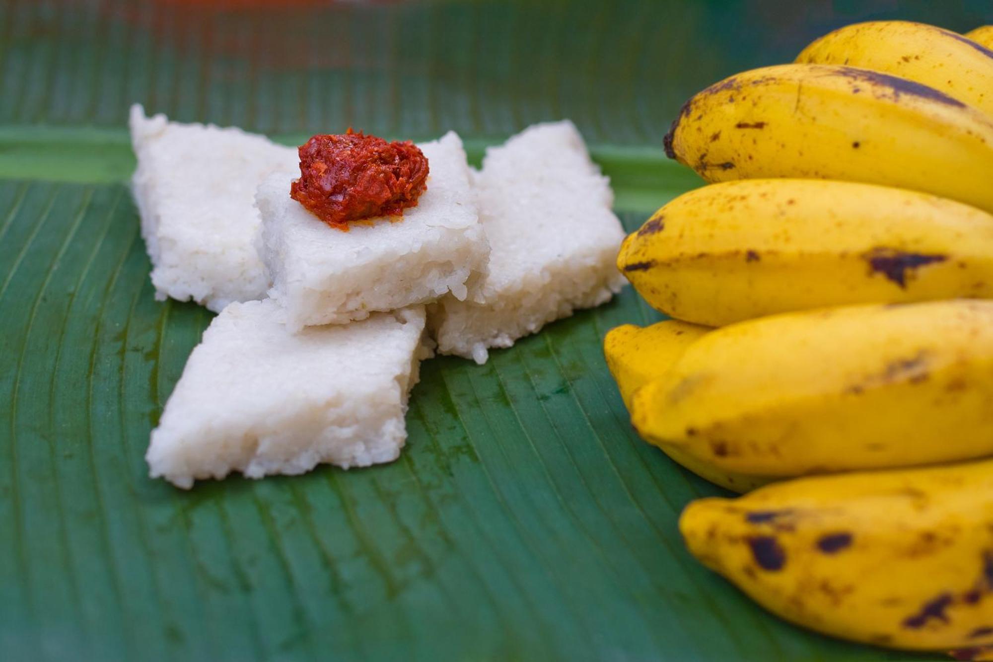 Tamasha Mango House Hotell Dikwella Eksteriør bilde
